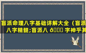 盲派命理八字基础详解大全（盲派八字精髓;盲派八 🐕 字神乎其技(下)）